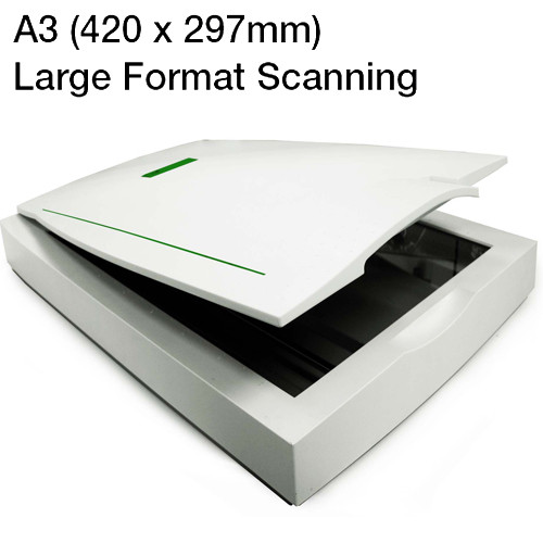 9786.jpg